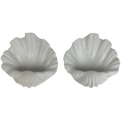 Pair of Plaster Shells