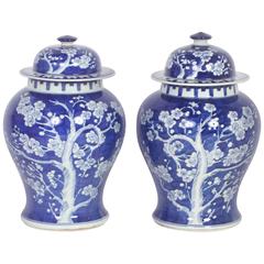 Chinese Export Style Pair of Blue and White Prunus Lidded Jars