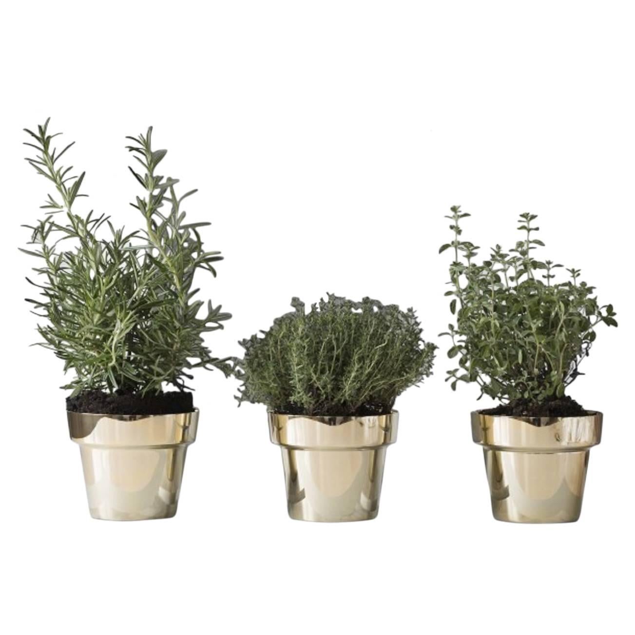 Three Skultuna Herb Pots, Design by Monica Forster, Swedish Design For Sale