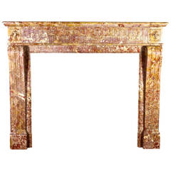 19th Century antique Fireplace mantel in Louis XVI Style 6