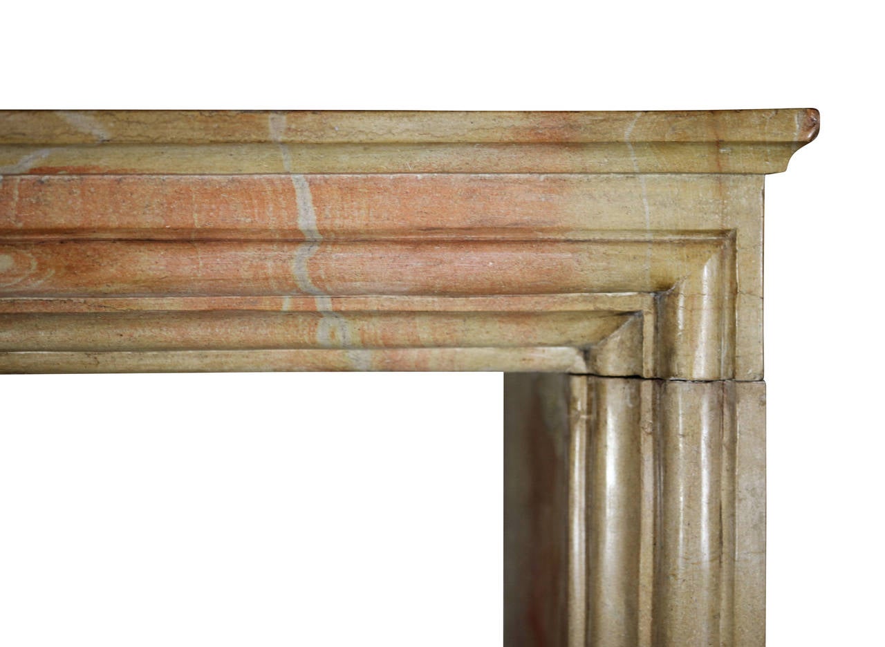 Antiker Stein im Louis XIV.-Stil des 19. Jahrhunderts  Kaminmantel (Geschnitzt) im Angebot