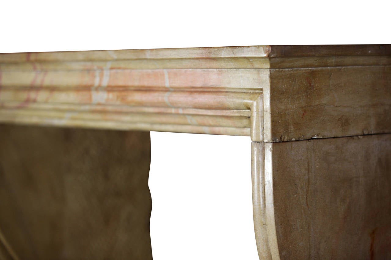 Antiker Stein im Louis XIV.-Stil des 19. Jahrhunderts  Kaminmantel im Angebot 2
