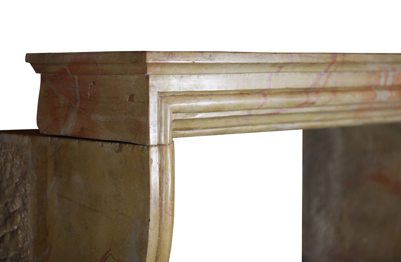 Antiker Stein im Louis XIV.-Stil des 19. Jahrhunderts  Kaminmantel im Zustand „Gut“ im Angebot in Beervelde, BE