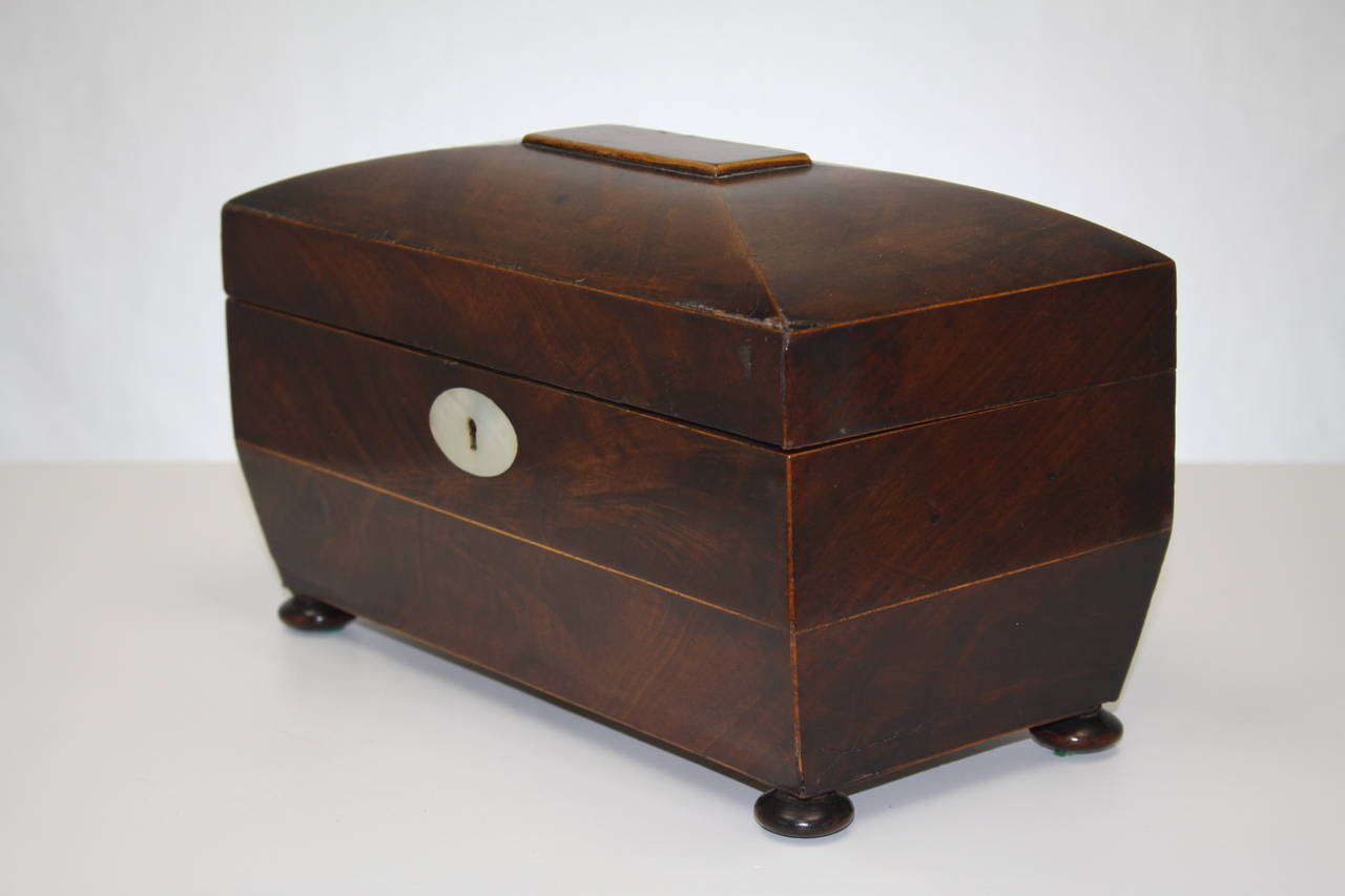 1860 George III Style Tea Caddy