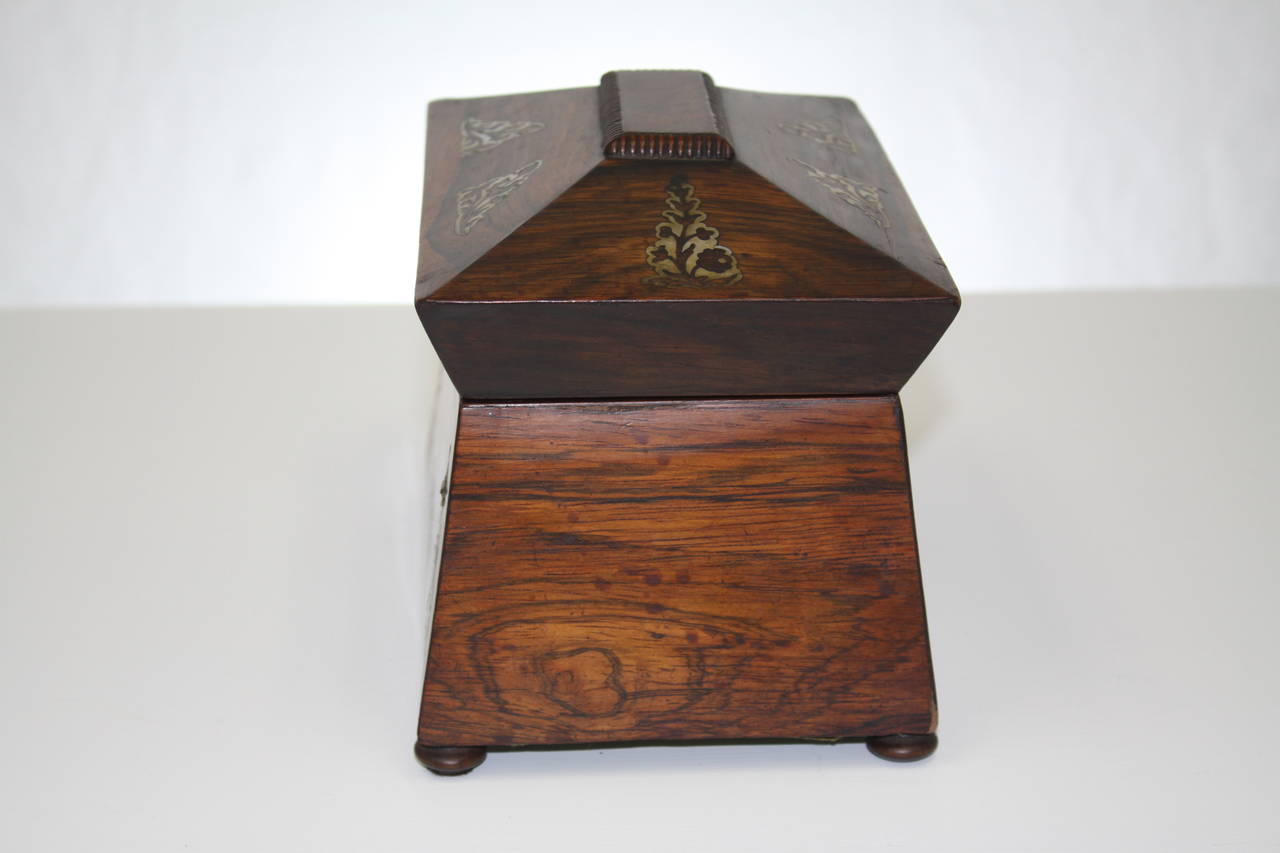 English William IV Rosewood Tea Caddy For Sale