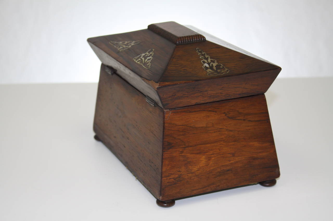Early 19th Century William IV Rosewood Tea Caddy For Sale
