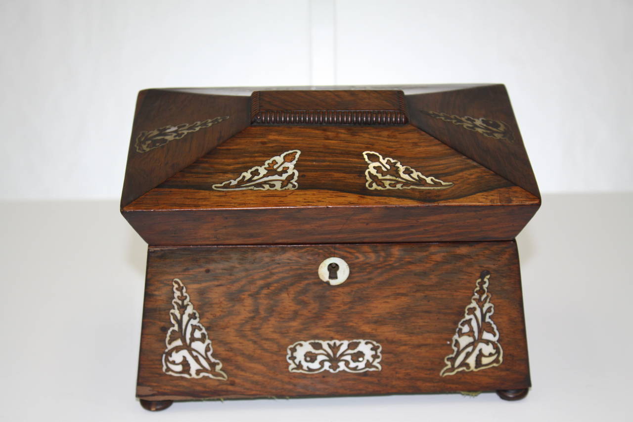 William IV Rosewood Tea Caddy For Sale 1