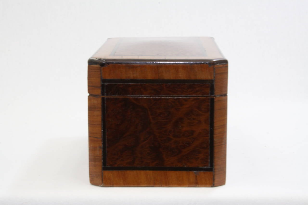 1860s George III Style Exotic Wood Double Tea Caddy In Excellent Condition For Sale In Raleigh, NC