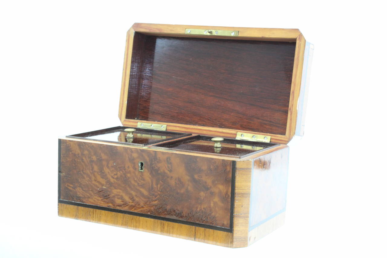 1860s George III Style Exotic Wood Double Tea Caddy For Sale 1