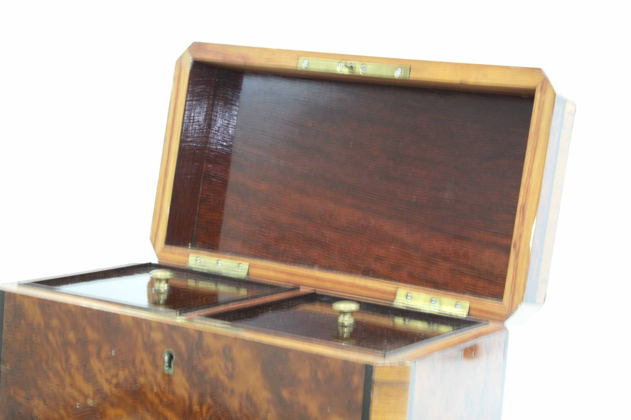 1860s George III Style Exotic Wood Double Tea Caddy For Sale 2