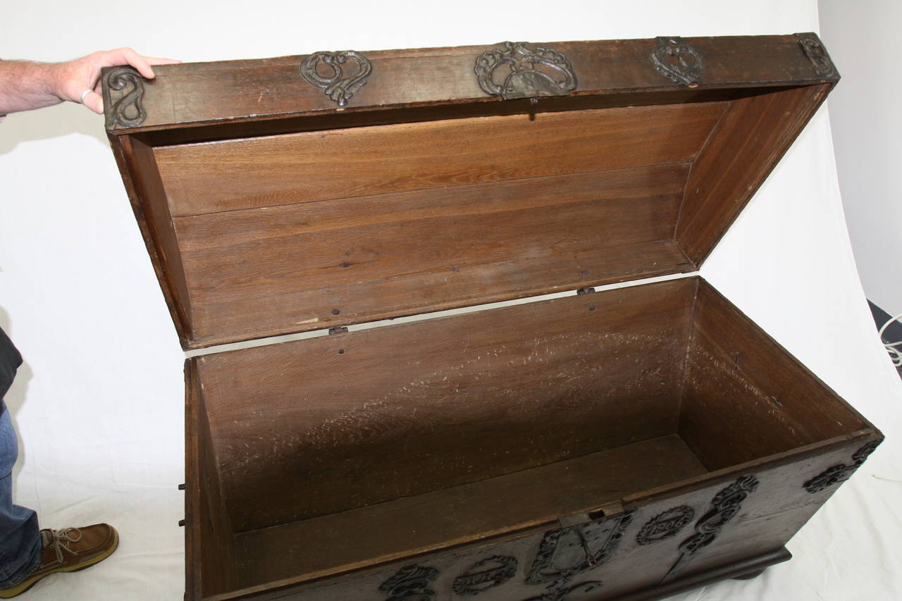 Early 19th Century German Coffer For Sale 3