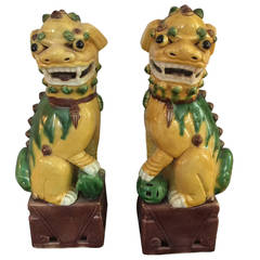 Vintage Majolica Foo Dogs with Pup, Pair