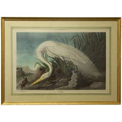 Vintage John James Audubon Great American White Egret Hand Colored Lithograph