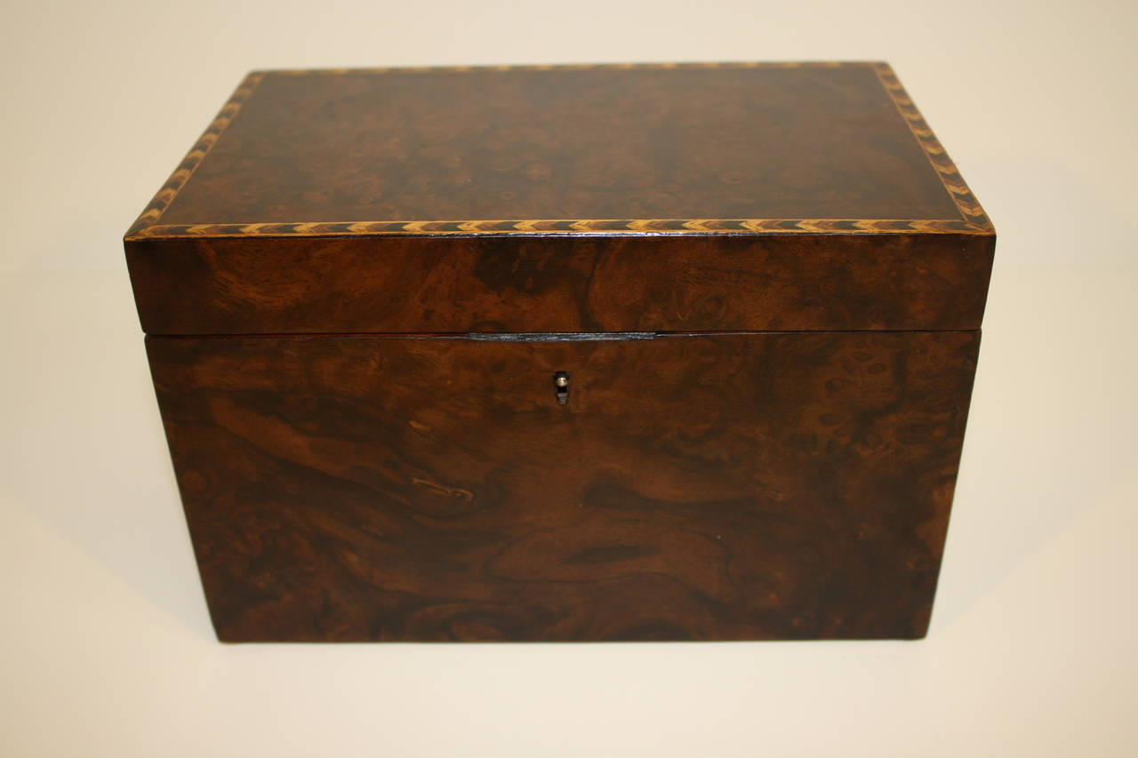 19th Century, 1870 Amboyna Wood Box