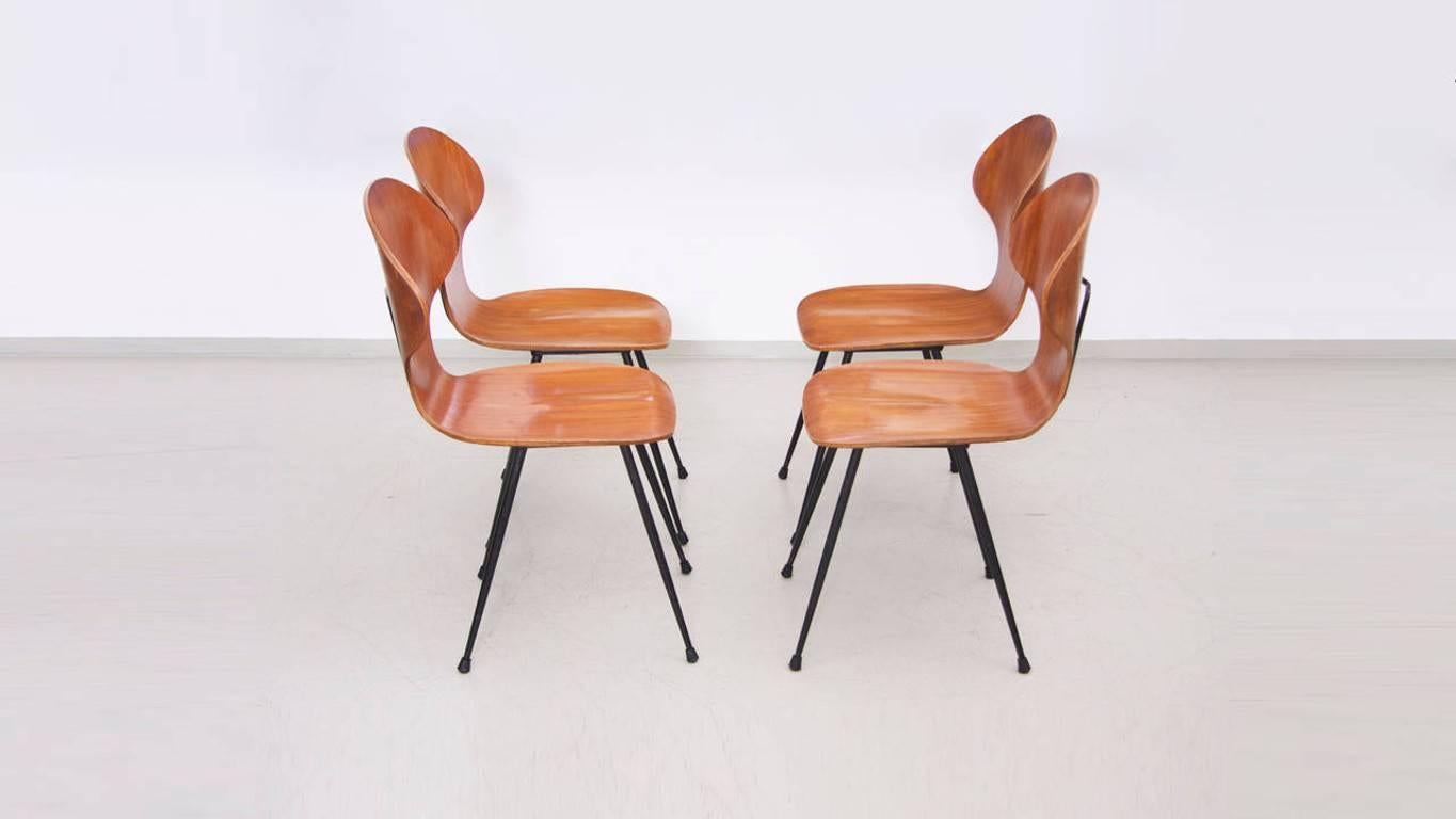 Metal Set of Four Chairs by Carlo Ratti in Plywood for Lissoni