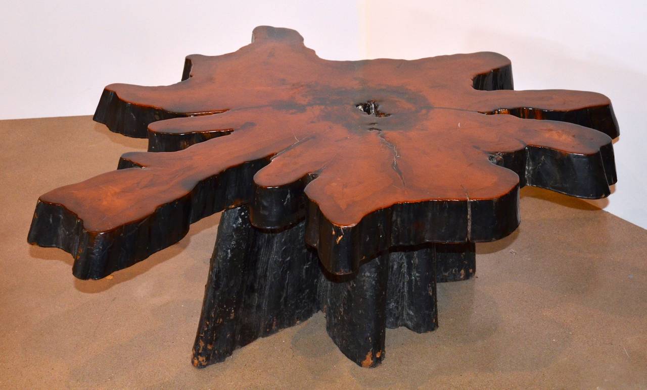 Wood Live Edge Redwood Burl Coffee Table, 1970s