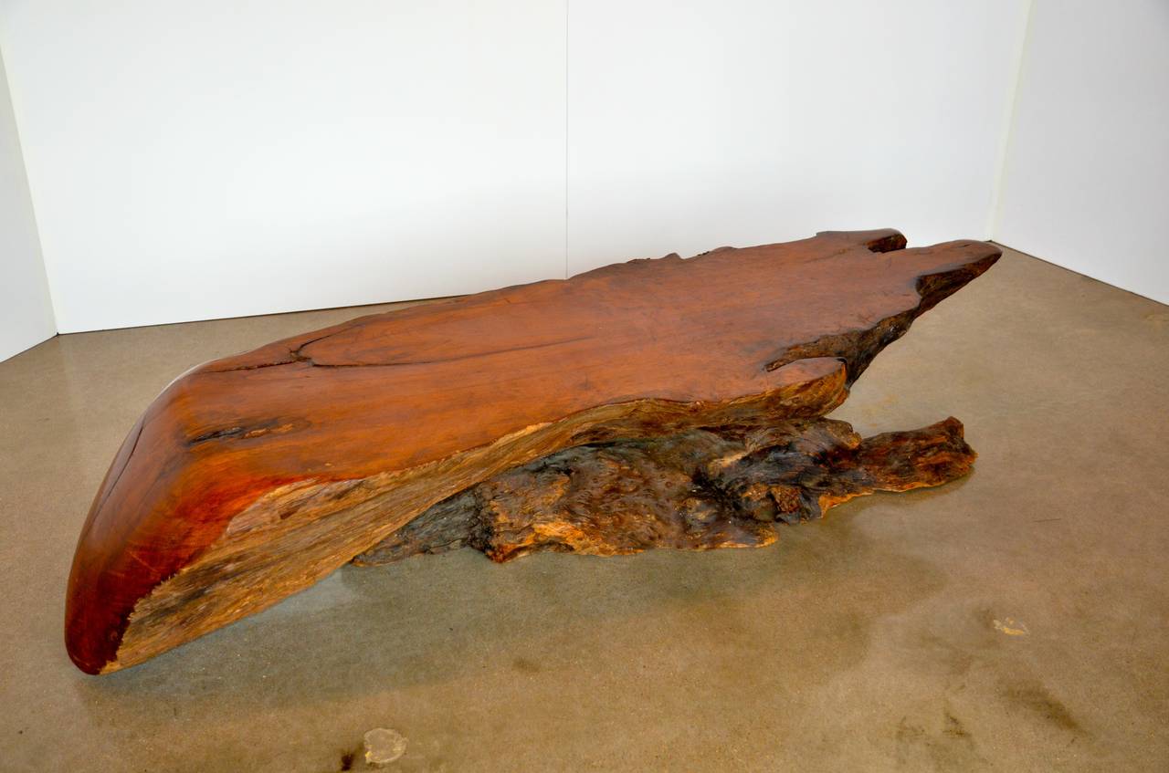 Late 20th Century Extraordinary Redwood Burl Table