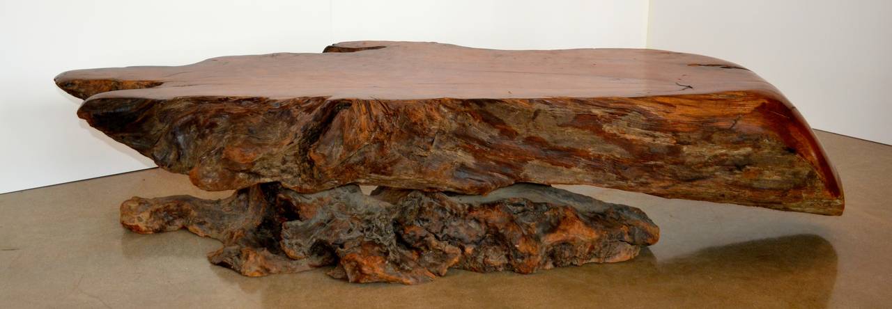 Beautiful vintage example of the California redwood burls made popular in the 1960s-1970s. This is a large slab with soft finish and very appealing form.  Dimensions are taken at widest points.