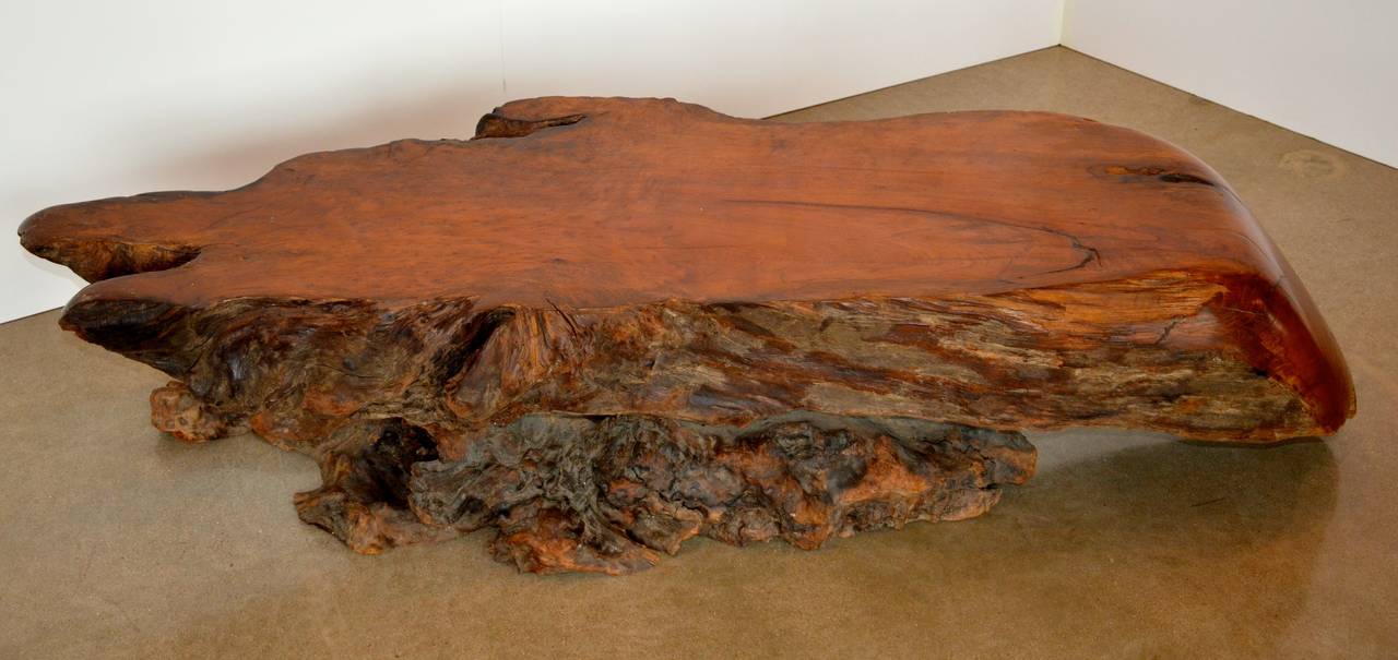 Extraordinary Redwood Burl Table 1