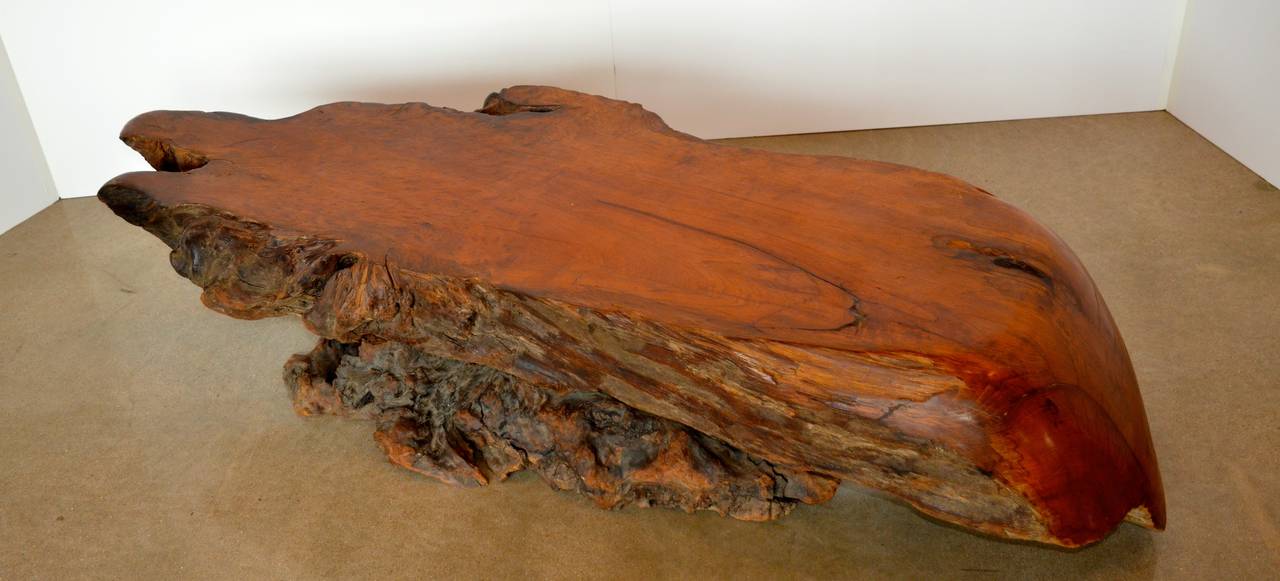 Extraordinary Redwood Burl Table 2