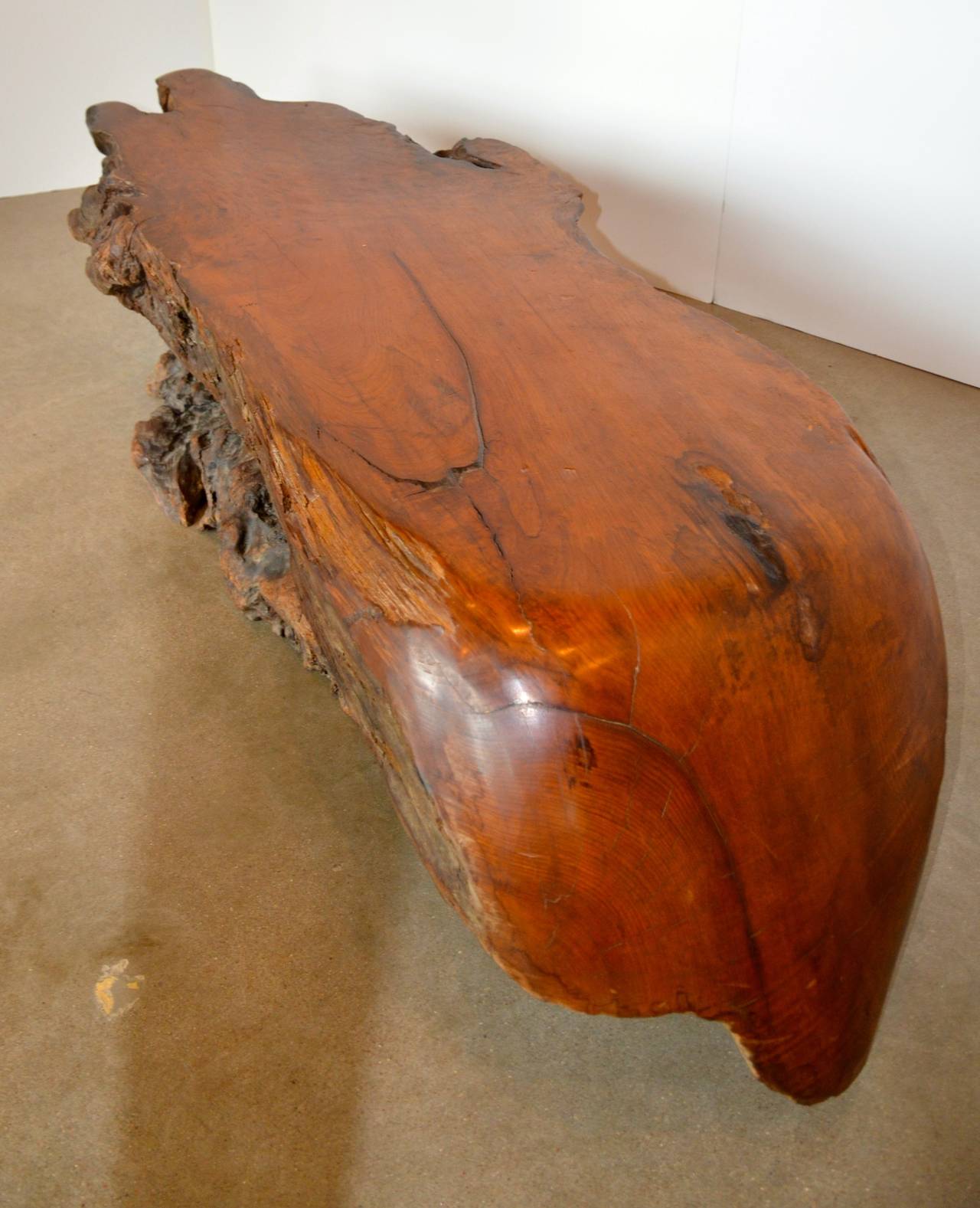 Extraordinary Redwood Burl Table 3