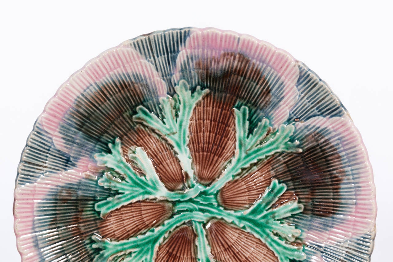 Ceramic Etruscan Shell and Seaweed Majolica Set, Late 19th Century