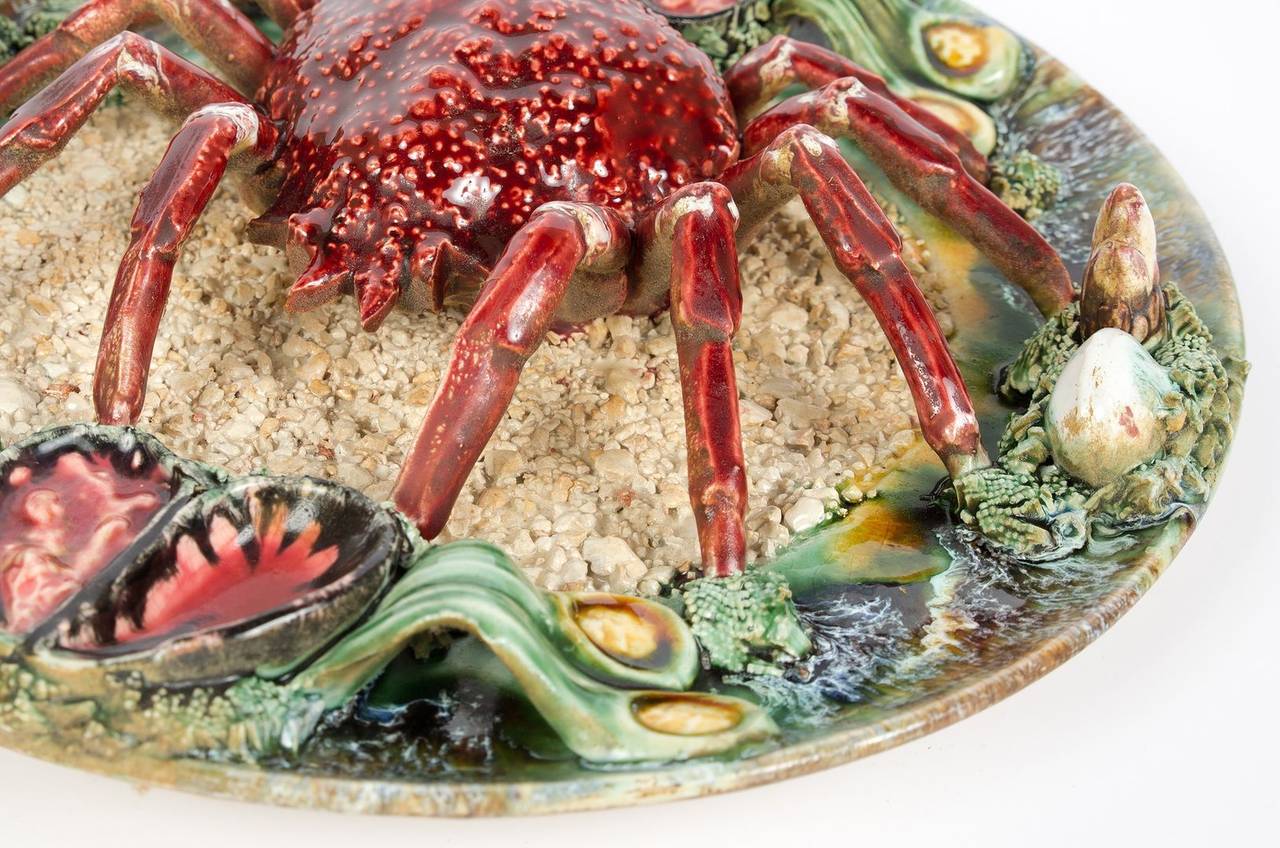 Glazed Palissy Style Majolica Trompe-l'oeil Spider Crab Plate