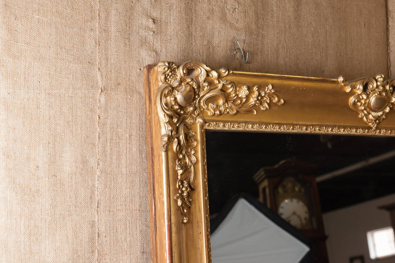 French Baroque Grand Scale Gold Leaf Mirror (72