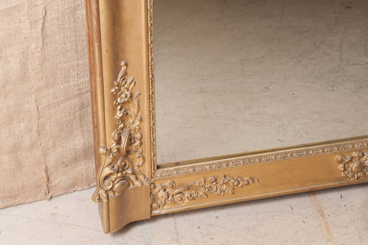 French Baroque Grand Scale Gold Leaf Mirror (72