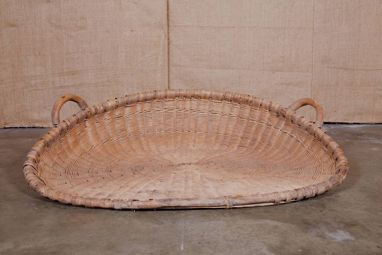 Willow Antique French Winnowing Basket