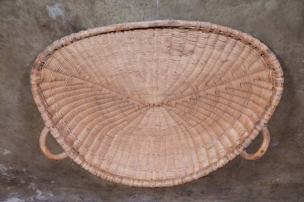 Antique French Winnowing Basket 2