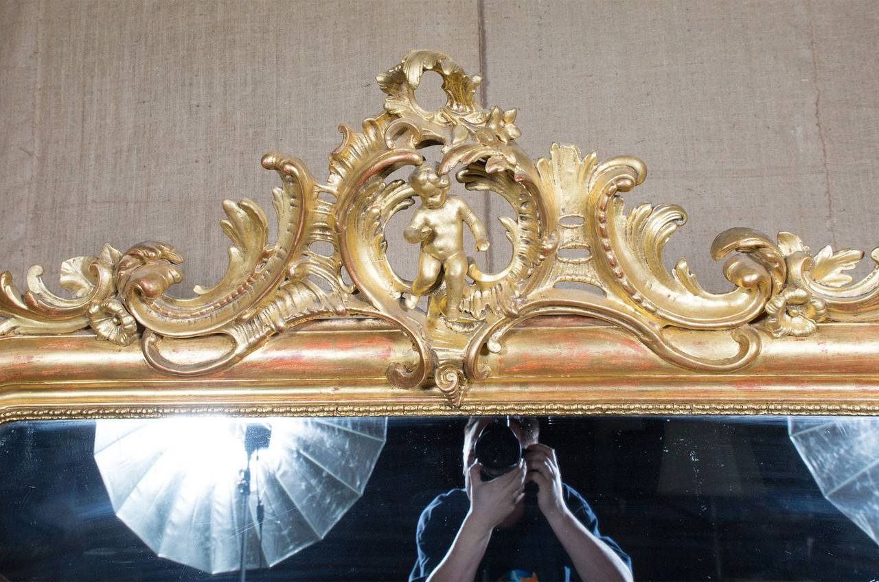 18th Century Grand Louis Philippe Period Giltwood Mirror w/Cartouche (72