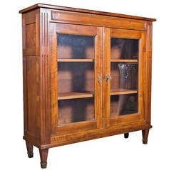 French Directoire Style Vitrine or Bookcase