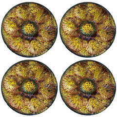 Set of Four Majolica Oyster Plates by Maurius Giuge, Vallauris