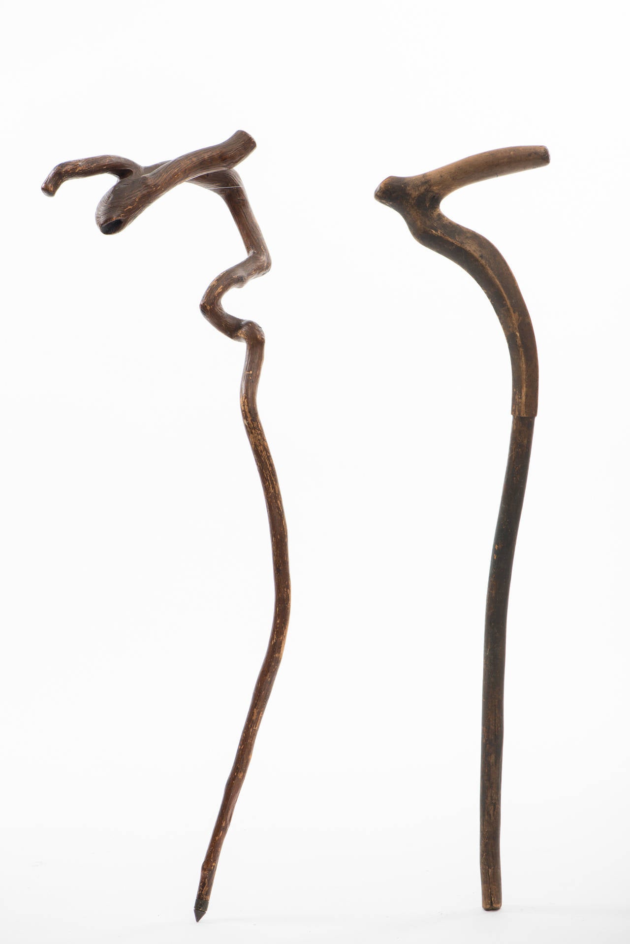 Carved Rustic Cane Group and Early Stand, 19th Century
