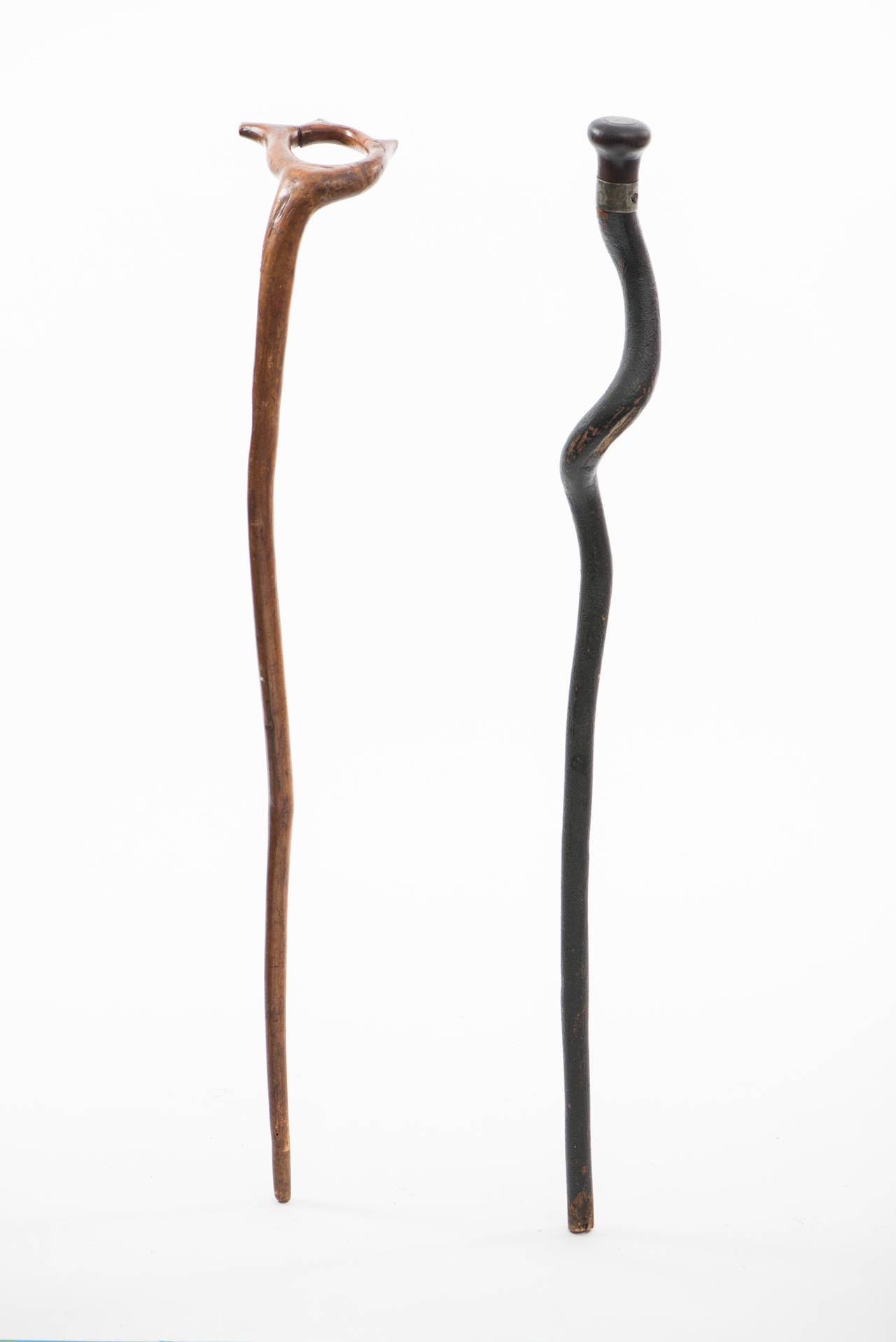 Iron Rustic Cane Group and Early Stand, 19th Century