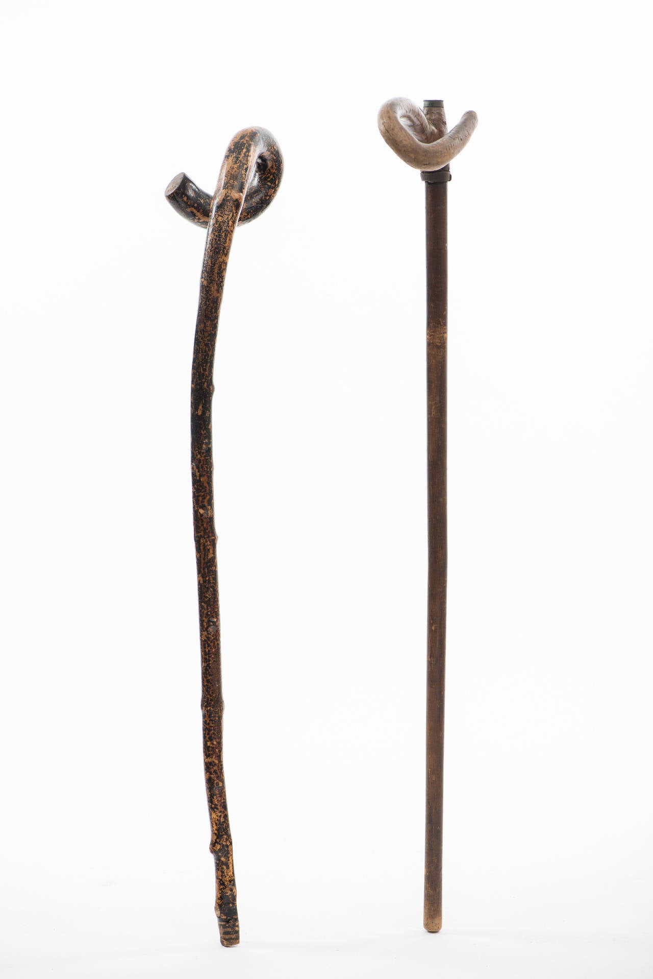Rustic Cane Group and Early Stand, 19th Century 1