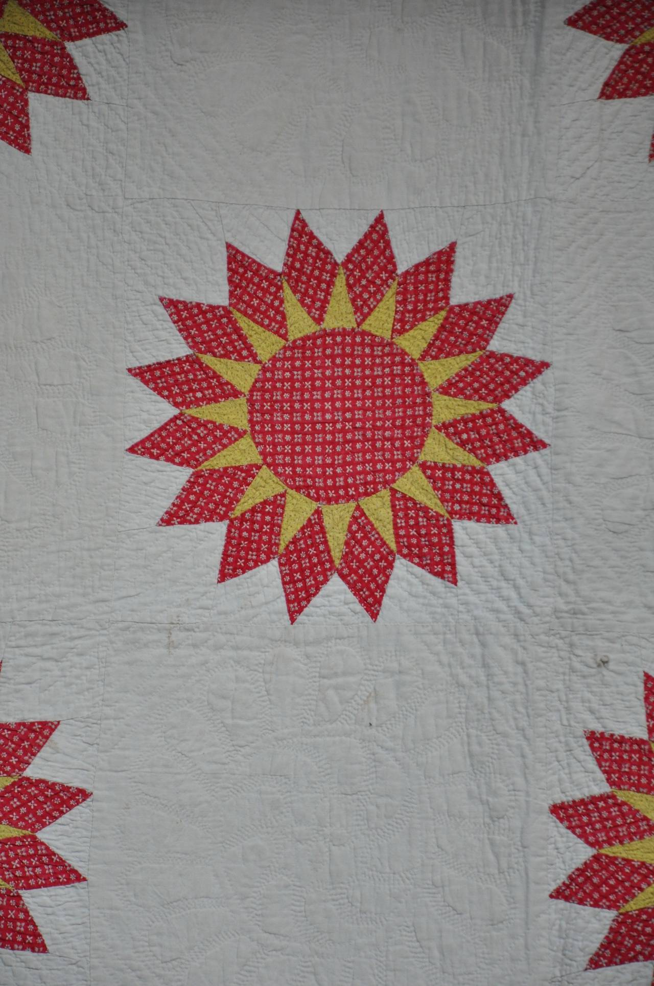 American Sunburst Star with Saw-Tooth Border Quilt For Sale