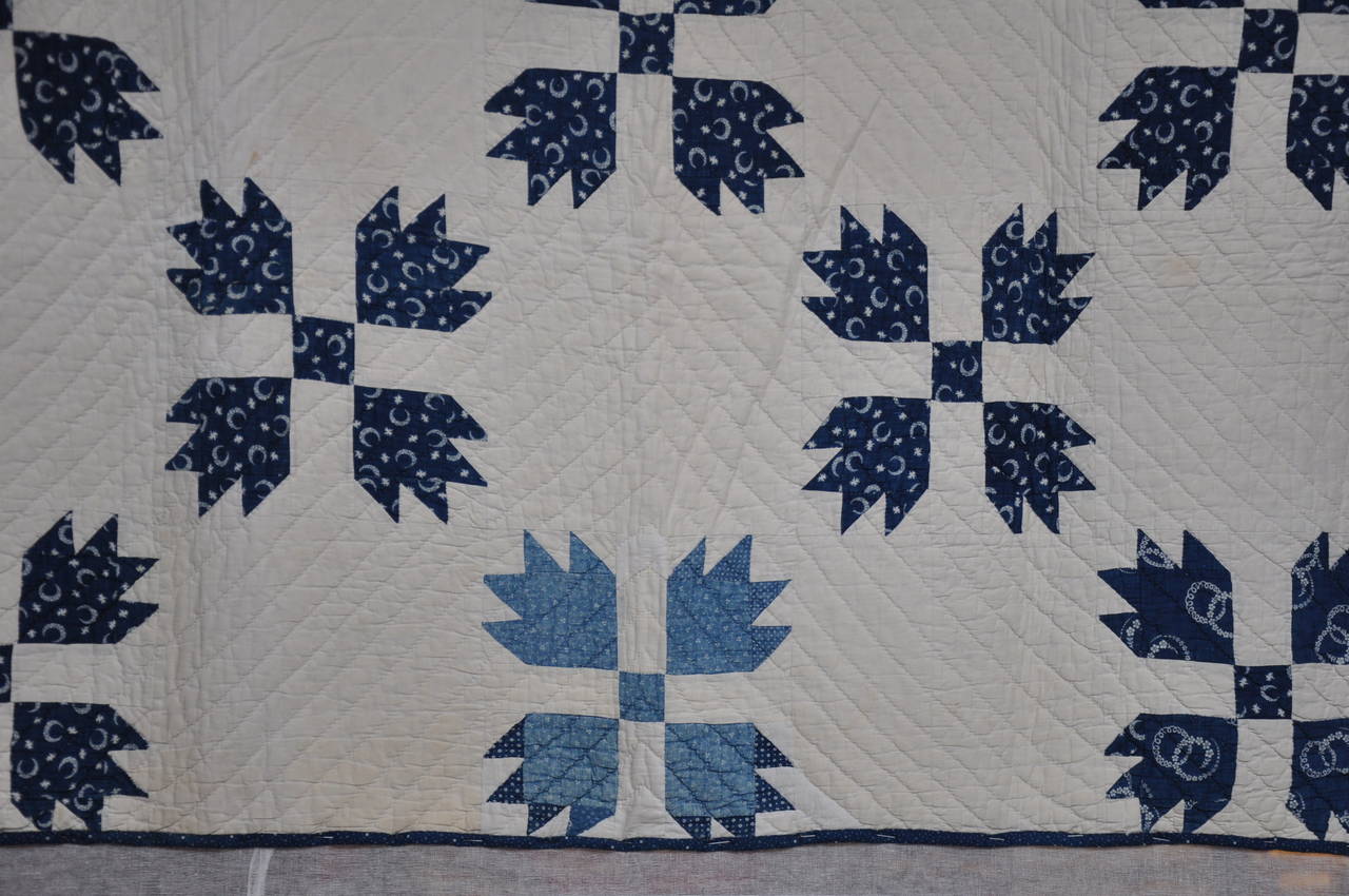 American Bears Paw Quilt For Sale
