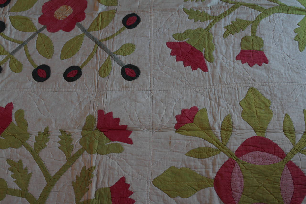 American Applique Quilt with Floral Motifs on a White Background For Sale