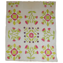 Applique Quilt with Floral Motifs on a White Background