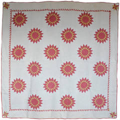 Sunburst Star with Saw-Tooth Border Quilt