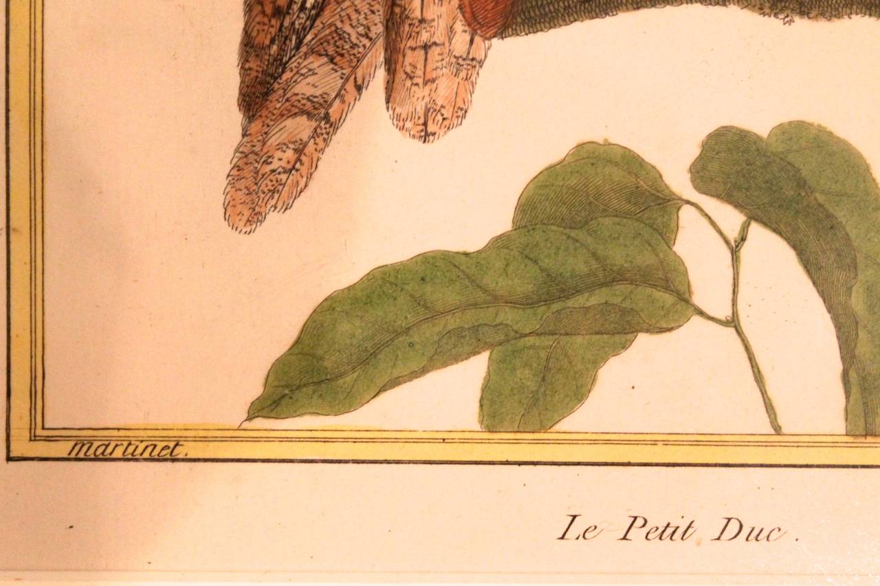 françois-nicolas martinet