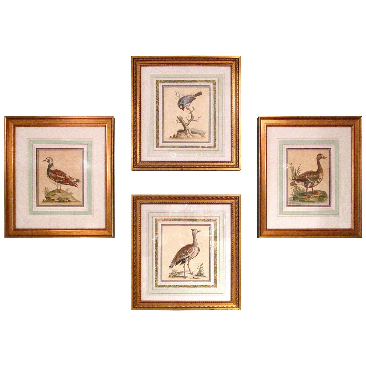 Four Mid-18th Century Bird Engravings by George Edwards For Sale