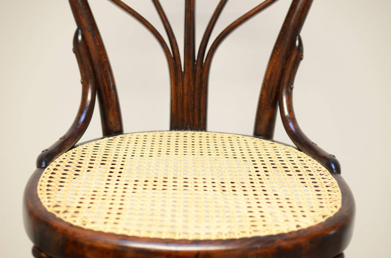 Pair of Thonet No. 25 Chairs In Excellent Condition In Vienna, AT