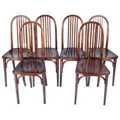 Thonet Chairs No. 644 Designed by Josef Hoffmann