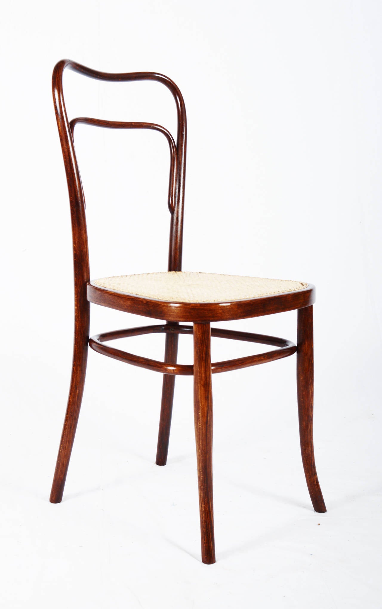 Kohn Bent Wood Chair Attributed to Adolf Loos

fully restored with new canning and shellack finish