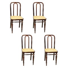 Thonet 41 Dining Chairs