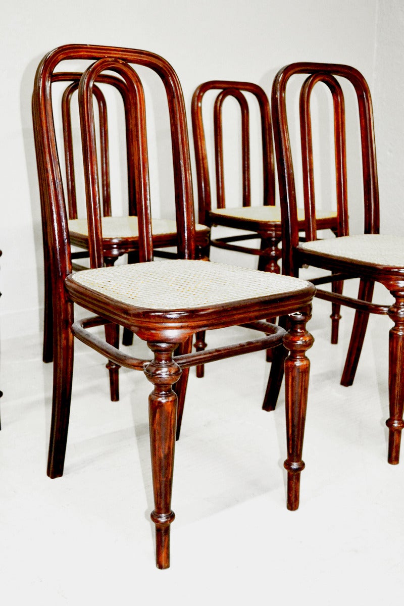 Austrian Thonet 41 Dining Chairs For Sale