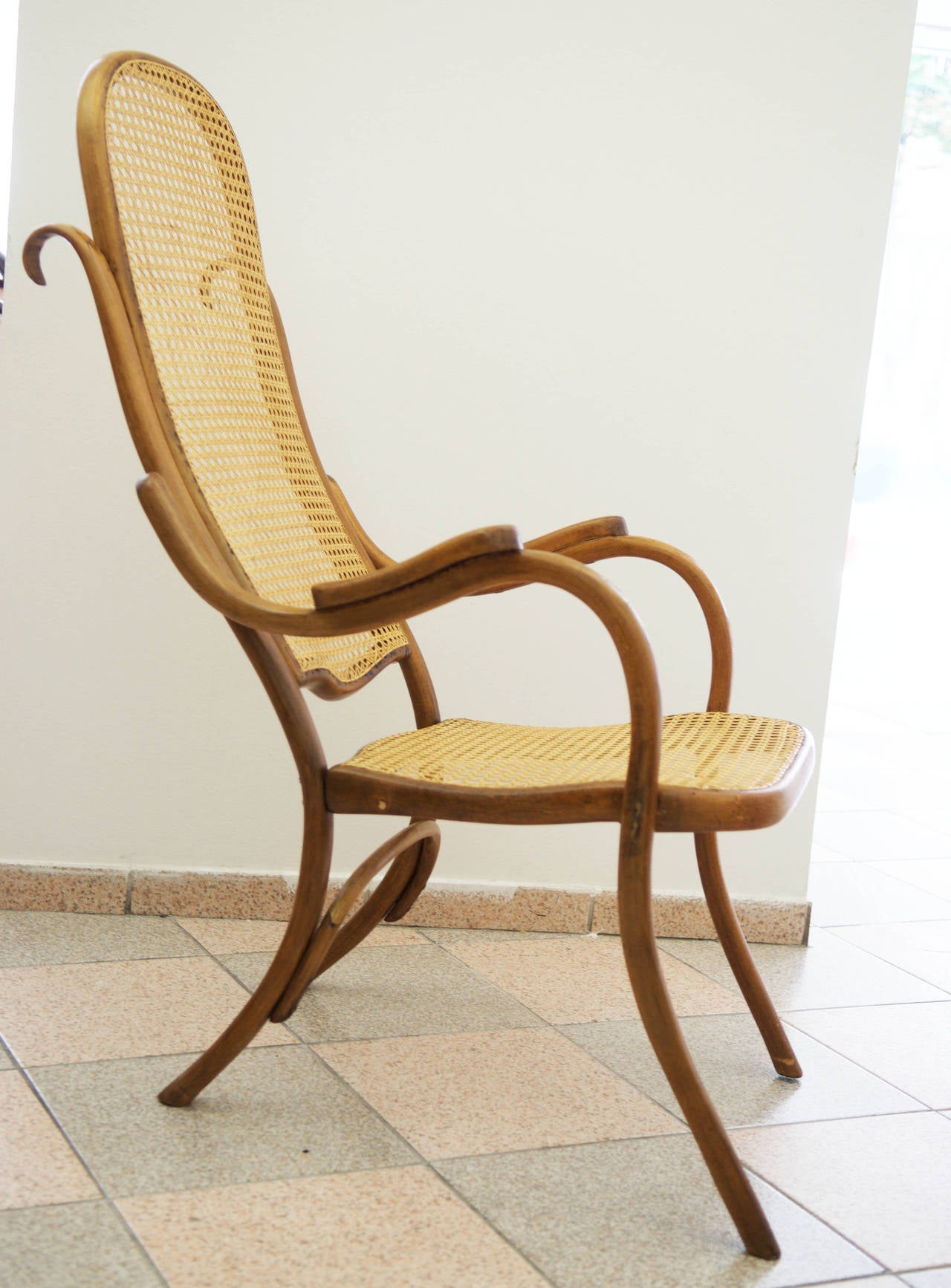 Beech Thonet 